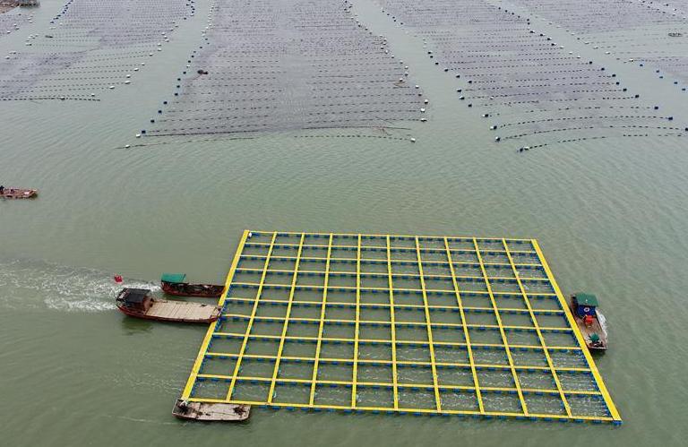 （社会）（1）福建霞浦：加快海上养殖综合整治